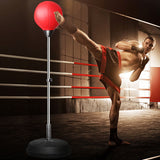 Speed Ball Stand Punching Boxing Bag Glove Set Adult Size