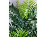 Multi Trunk Hawaii Palm 180cm
