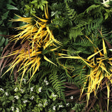 UV Green Fields 80cm Green Wall Disc (Black)