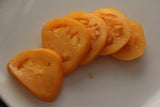 Tomato- Jubilee Yellow