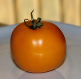 Tomato- Jubilee Yellow