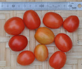 Tomato- Principe Borghese