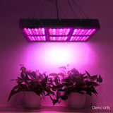 Green Fingers 2000W LED Grow Light Full Spectrum Reflector