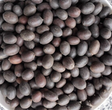 Lotus Flower Seeds Hydroponic Plant Bonsai Variety Mixed Multicolour .