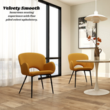 Jessi Gold Velvet Dining Chair with Arm Rest Set of 2