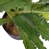 Artificial Birds Nest Fern 55cm