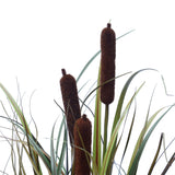 Brown Grass Plant 60 cm