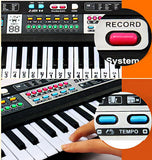 61 Keys Deluxe Electronic Musical Keyboard Piano