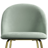 Adie Mint Velvet Dining Chair with Gold Legs Set of 2