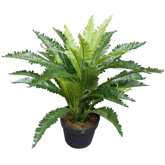 Artificial Birds Nest Fern 55cm